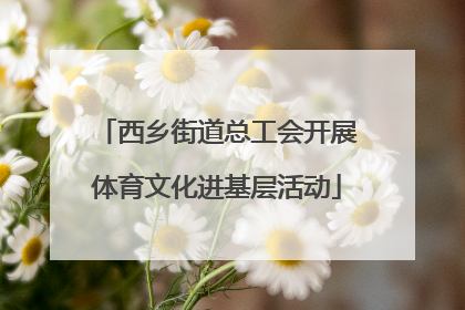 西乡街道总工会开展体育文化进基层活动
