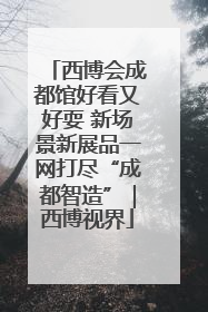 西博会成都馆好看又好耍 新场景新展品一网打尽“成都智造”｜西博视界