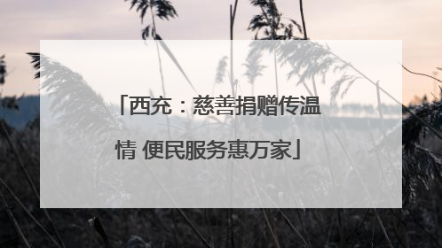 西充：慈善捐赠传温情 便民服务惠万家