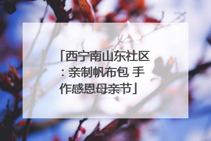 西宁南山东社区：亲制帆布包 手作感恩母亲节