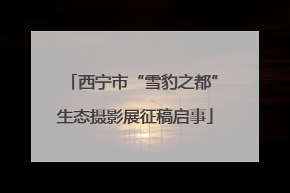 西宁市“雪豹之都”生态摄影展征稿启事