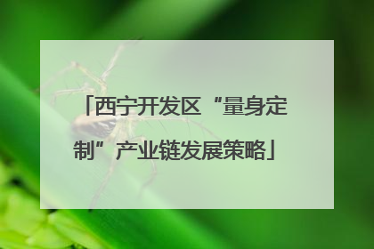 西宁开发区“量身定制”产业链发展策略
