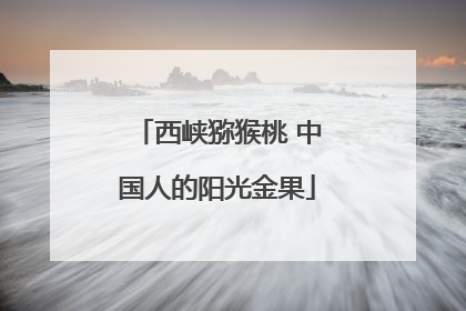 西峡猕猴桃 中国人的阳光金果