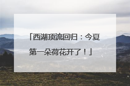 西湖顶流回归：今夏第一朵荷花开了！