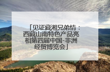 见证藏湘兄弟情：西藏山南特色产品亮相第四届中国-非洲经贸博览会