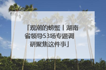 观潮的螃蟹丨湖南省领导53场专题调研聚焦这件事