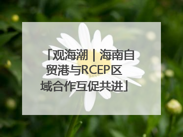 观海潮｜海南自贸港与RCEP区域合作互促共进
