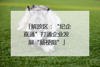 解放区：“纪企直通”打通企业发展“肠梗阻”