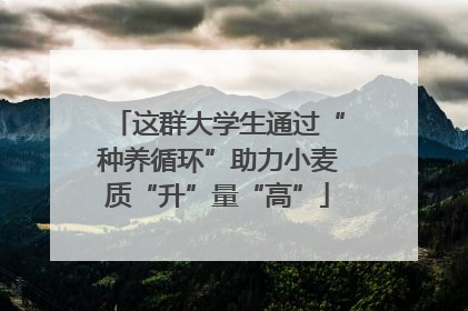 这群大学生通过“种养循环”助力小麦质“升”量“高”
