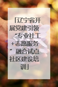 辽宁省开展党建引领“专业社工+志愿服务”融合试点社区建设培训