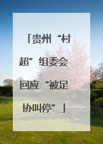 贵州“村超”组委会回应“被足协叫停”