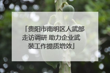 贵阳市南明区人武部走访调研 助力企业武装工作提质增效