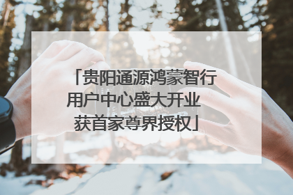 贵阳通源鸿蒙智行用户中心盛大开业 获首家尊界授权