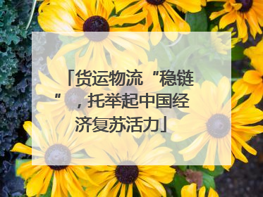 货运物流“稳链”，托举起中国经济复苏活力