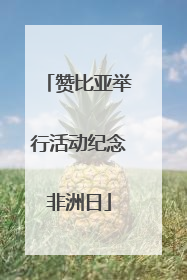 赞比亚举行活动纪念非洲日