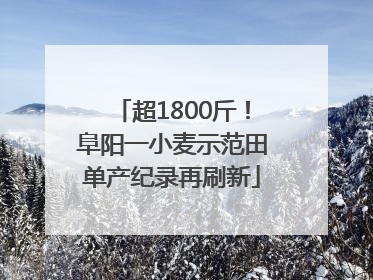 超1800斤！阜阳一小麦示范田单产纪录再刷新