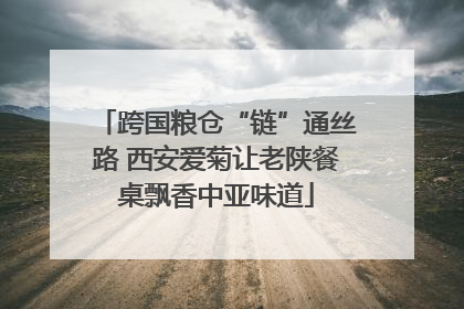 跨国粮仓“链”通丝路 西安爱菊让老陕餐桌飘香中亚味道
