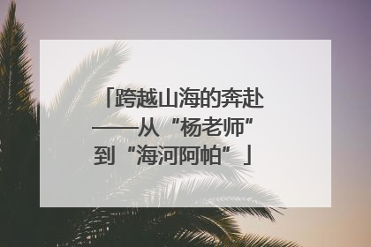 跨越山海的奔赴——从“杨老师”到“海河阿帕”