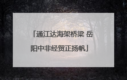 通江达海架桥梁 岳阳中非经贸正扬帆