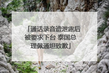 通话录音遭泄露后被要求下台 泰国总理佩通坦致歉