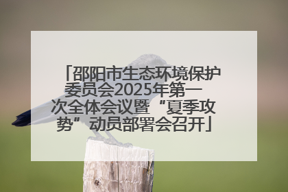邵阳市生态环境保护委员会2025年第一次全体会议暨“夏季攻势”动员部署会召开