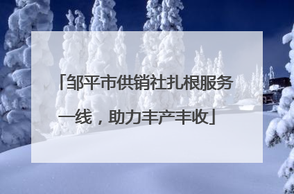 邹平市供销社扎根服务一线，助力丰产丰收