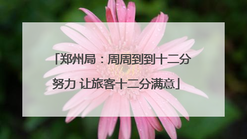 郑州局：周周到到十二分努力 让旅客十二分满意
