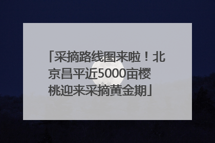 采摘路线图来啦！北京昌平近5000亩樱桃迎来采摘黄金期