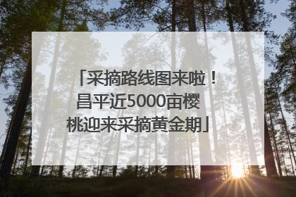 采摘路线图来啦！昌平近5000亩樱桃迎来采摘黄金期