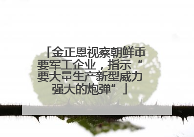 金正恩视察朝鲜重要军工企业，指示“要大量生产新型威力强大的炮弹”