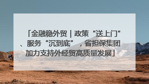金融稳外贸｜政策“送上门”、服务“沉到底”，省担保集团加力支持外经贸高质量发展