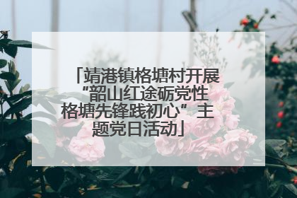 靖港镇格塘村开展“韶山红途砺党性 格塘先锋践初心”主题党日活动