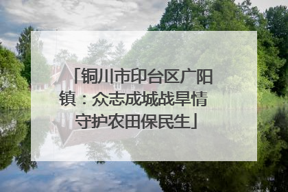 铜川市印台区广阳镇：众志成城战旱情 守护农田保民生