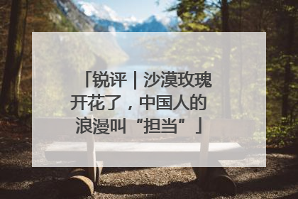 锐评｜沙漠玫瑰开花了，中国人的浪漫叫“担当”