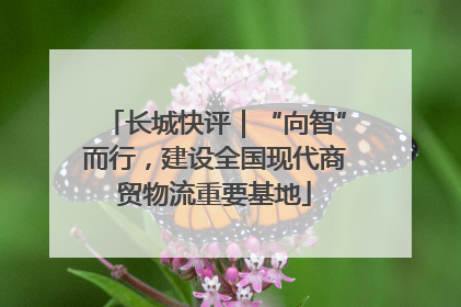 长城快评｜“向智”而行，建设全国现代商贸物流重要基地