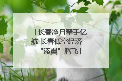 长春净月牵手亿航 长春低空经济“添翼”腾飞