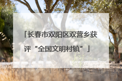 长春市双阳区双营乡获评“全国文明村镇”