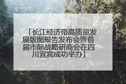 长江经济带高质量发展版图报告发布会暨首届市际战略研商会在四川宜宾成功举办