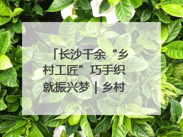 长沙千余“乡村工匠”巧手织就振兴梦｜乡村行·看振兴