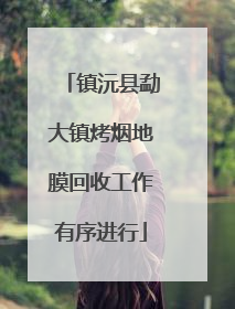 镇沅县勐大镇烤烟地膜回收工作有序进行
