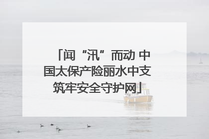 闻“汛”而动 中国太保产险丽水中支筑牢安全守护网