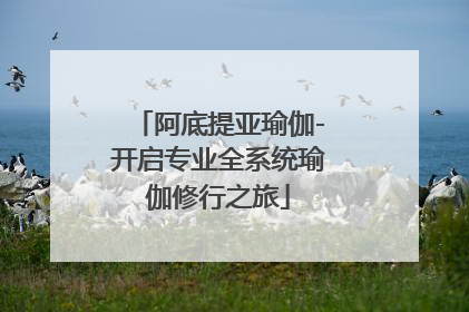 阿底提亚瑜伽-开启专业全系统瑜伽修行之旅