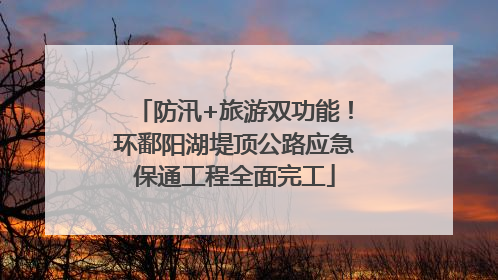 防汛+旅游双功能！环鄱阳湖堤顶公路应急保通工程全面完工