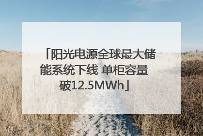 阳光电源全球最大储能系统下线 单柜容量破12.5MWh