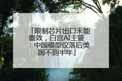 限制芯片出口未能奏效，白宫AI主管：中国模型仅落后美国不到半年