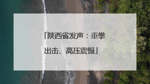 陕西省发声：重拳出击、高压震慑