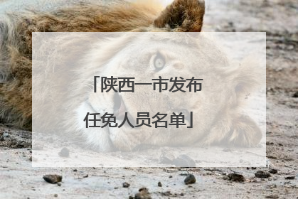 陕西一市发布任免人员名单