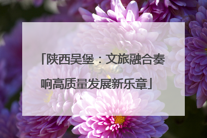 陕西吴堡：文旅融合奏响高质量发展新乐章