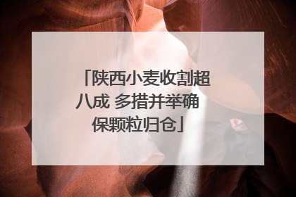 陕西小麦收割超八成 多措并举确保颗粒归仓