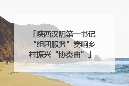 陕西汉阴第一书记“组团服务”奏响乡村振兴“协奏曲”